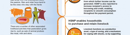 Infographic: HSNP impact on livelihood